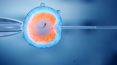 无结婚证在阜新做试管成功率高吗？2026单身女性成功率TOP3医院排名