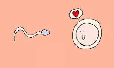 杭州第三特需试管生孩子的价格是多少？生孩子医院推荐