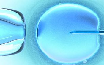 你知道浙江金华三大助孕公司吗？附金华市试管助孕机构详细介绍