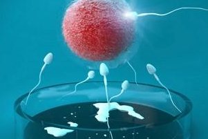 济医附院，济医附院三代试管，济医附院三代试管价格