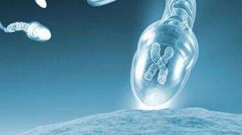 广东湛江10大助孕公司名单(湛江市哪里有助孕公司)