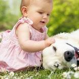 泰国碧雅威国际医院试管婴儿，胚胎挑选与费用概览‌