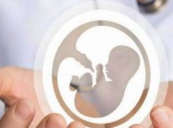 一文了解试管过程中可能会出现的风险和困难