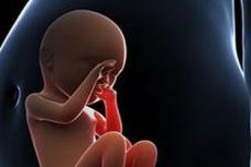 2026年衡阳市可以做试管婴儿的医院有哪些？费用纳入医保了吗？