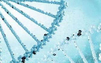 去泰国办三代试管婴儿需要多少钱？