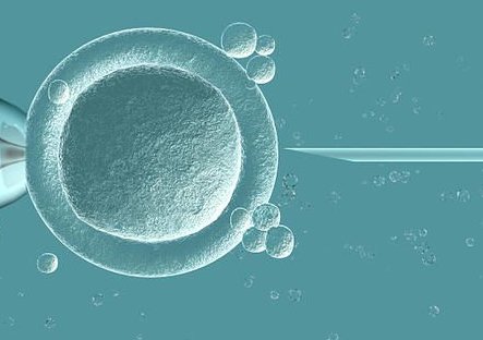 2026年海外生殖机构第三代试管婴儿成功案例