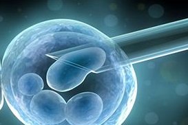 广东助孕机构排名_佛山助孕公司排行榜_佛山试管助孕哪家好